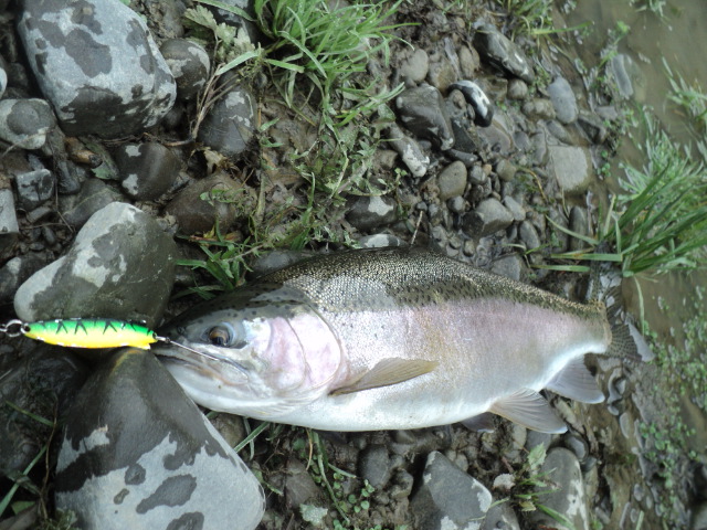Name:  picture 01 845.jpg
Views: 358
Size:  165.0 KB