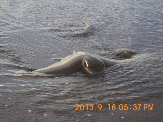 Name:  SANY0022.JPG
Views: 178
Size:  151.0 KB