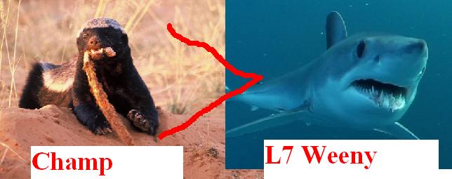 Name:  honey badger week.JPG
Views: 638
Size:  25.7 KB
