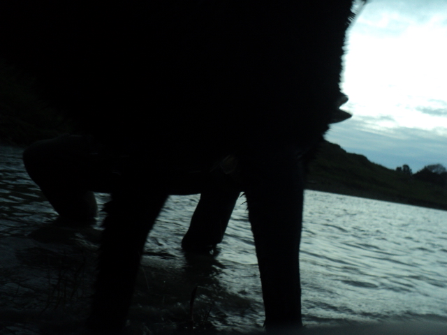 Name:  picture 01 1402.jpg
Views: 263
Size:  159.0 KB