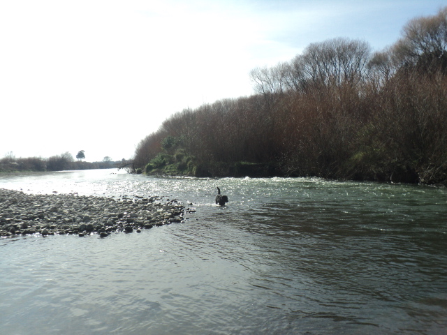 Name:  picture 01 1447.jpg
Views: 231
Size:  163.5 KB