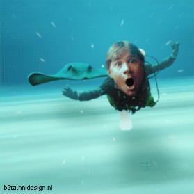 Name:  Steve Irwin.jpg
Views: 632
Size:  7.9 KB