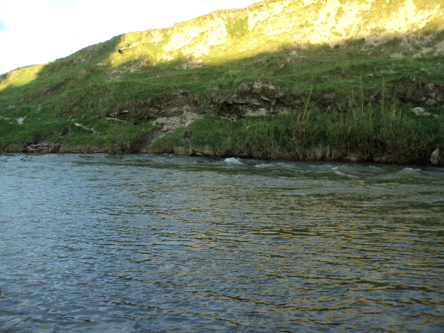 Name:  picture 2275.jpg
Views: 334
Size:  165.1 KB