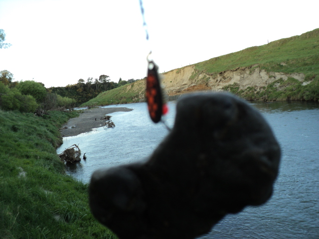 Name:  picture 2289.jpg
Views: 369
Size:  159.9 KB