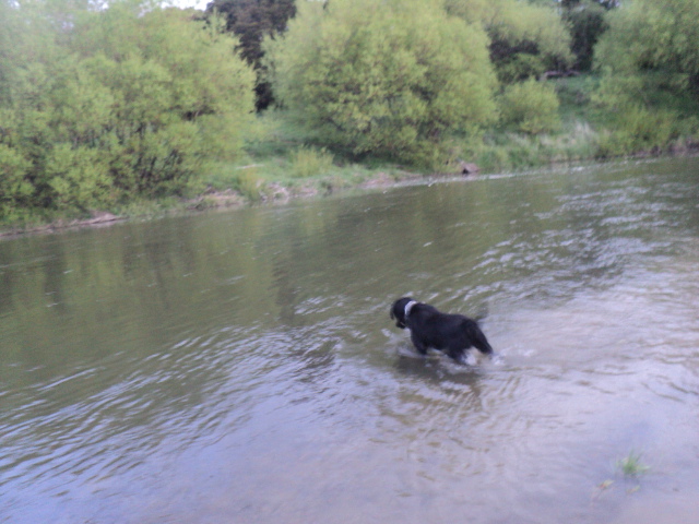 Name:  picture 01 1886.jpg
Views: 192
Size:  163.1 KB