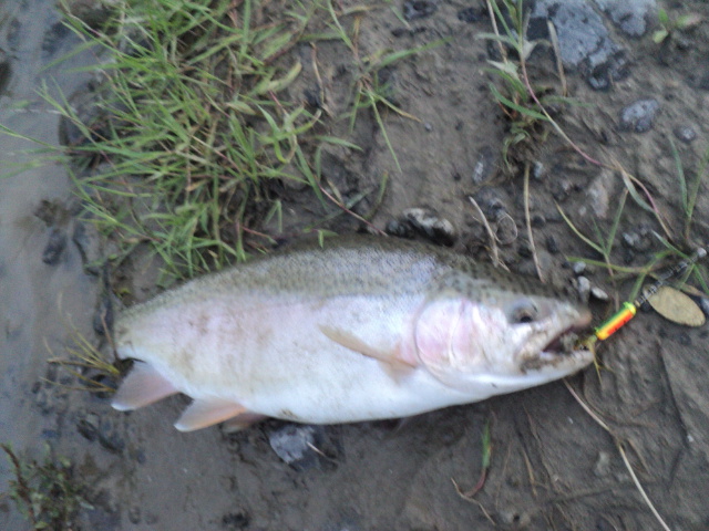 Name:  picture 01 1885.jpg
Views: 199
Size:  163.9 KB