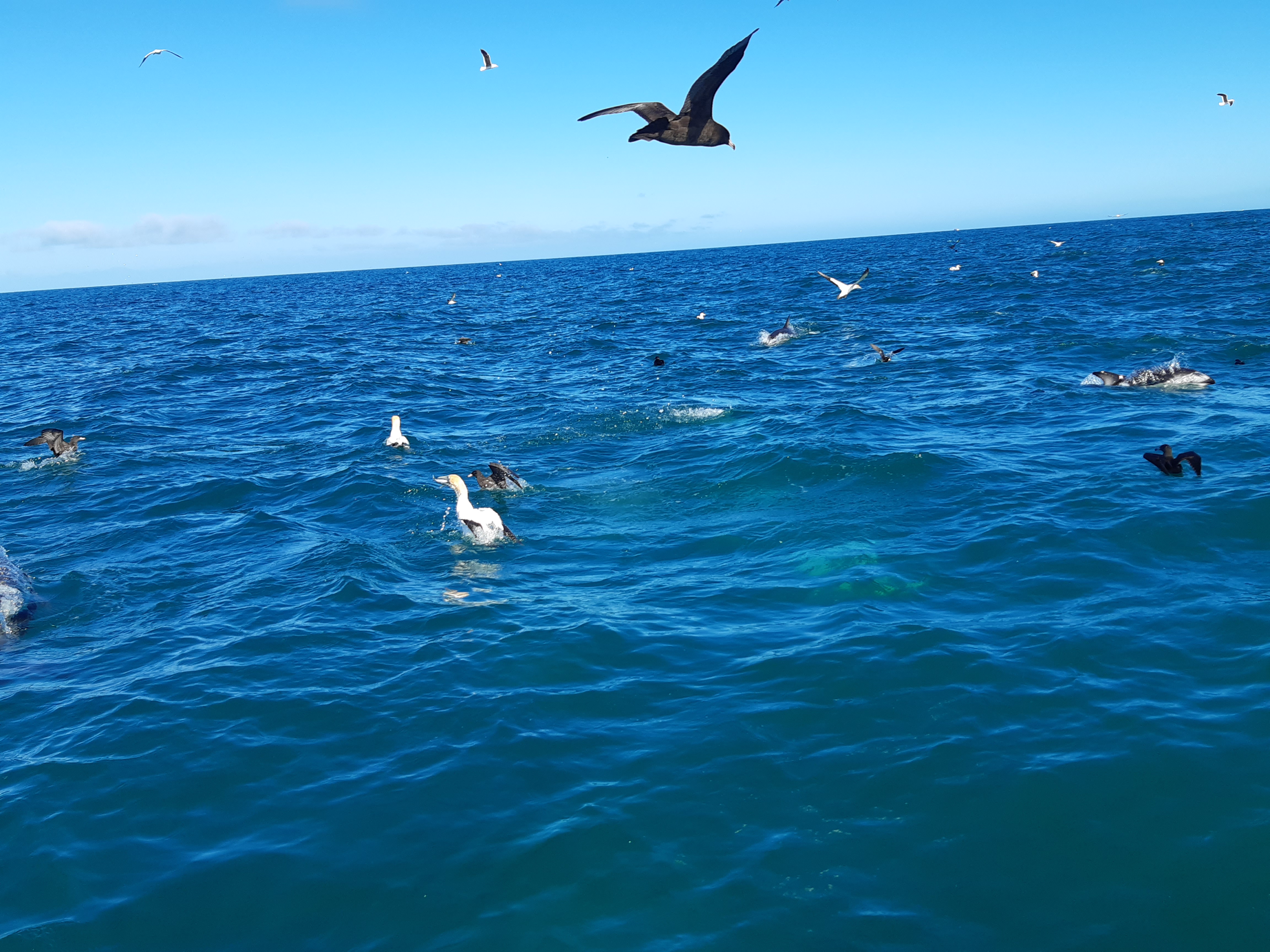 Name:  20201024_093748.jpg
Views: 316
Size:  3.54 MB