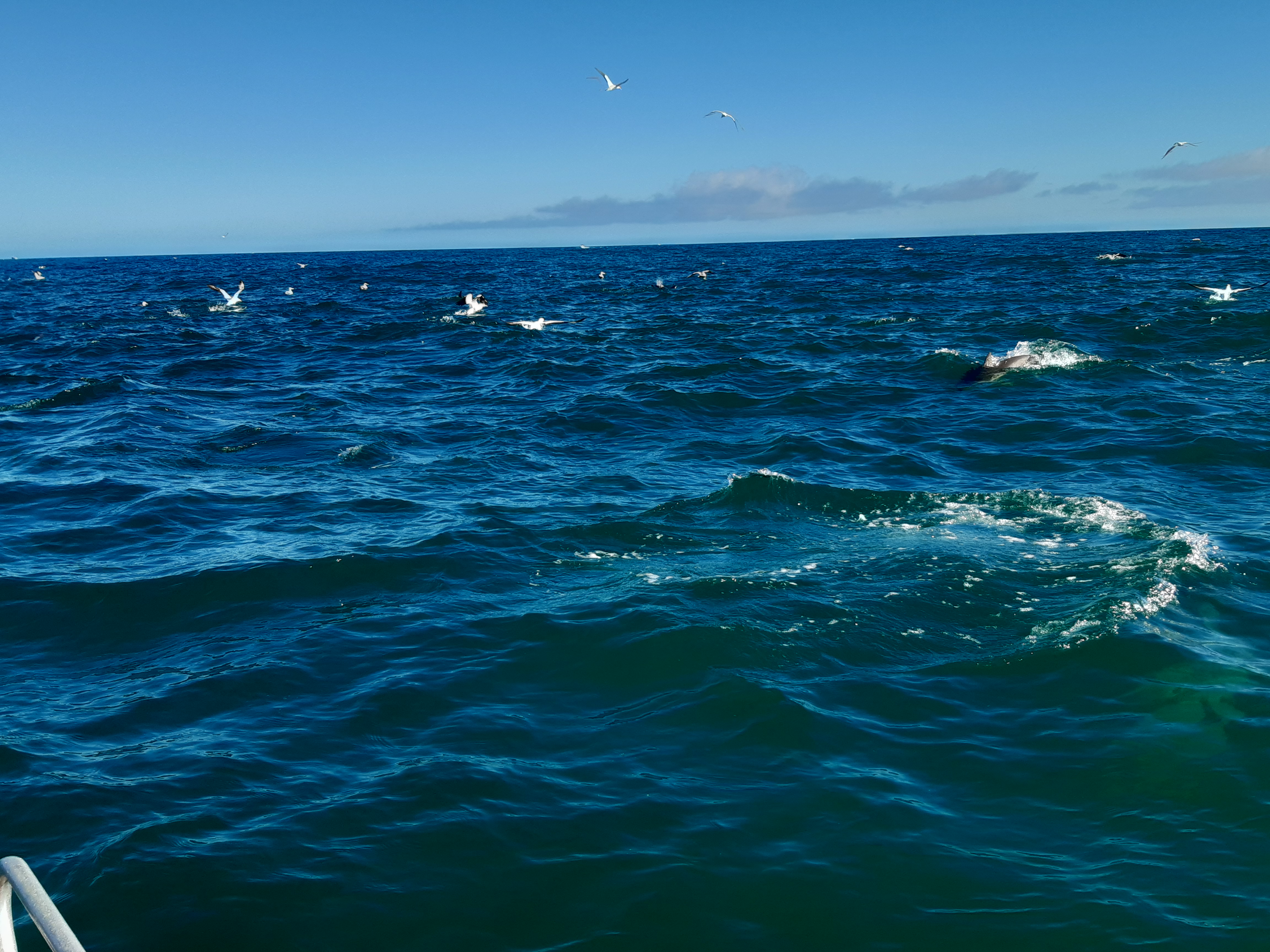 Name:  20201024_093736.jpg
Views: 296
Size:  4.17 MB