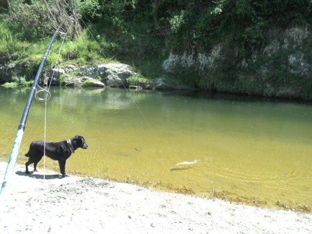 Name:  picture 01 1950.jpg
Views: 162
Size:  161.9 KB