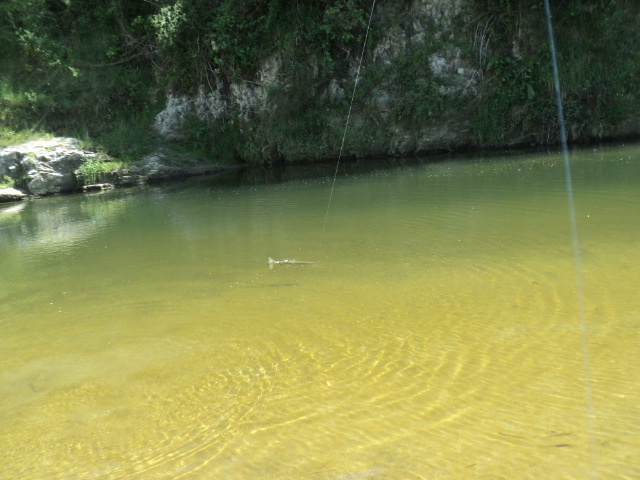 Name:  picture 01 1949.jpg
Views: 162
Size:  164.6 KB