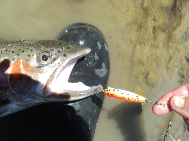 Name:  picture 01 1951.jpg
Views: 168
Size:  164.9 KB