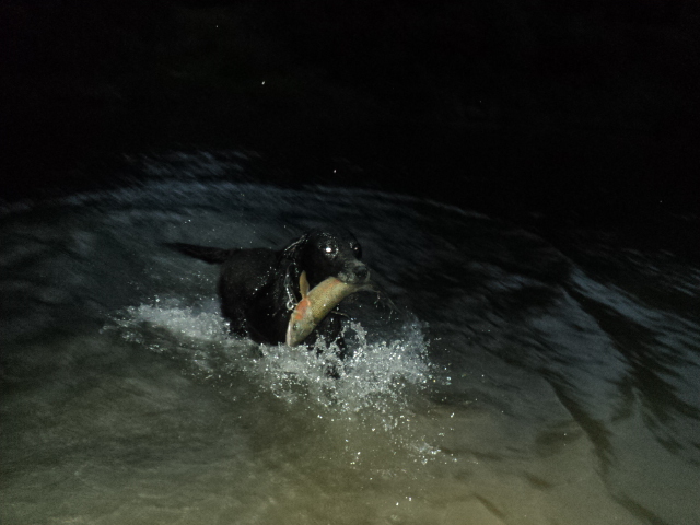 Name:  picture 01 2161.jpg
Views: 224
Size:  164.1 KB