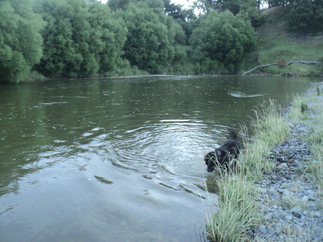Name:  picture 01 2174.jpg
Views: 153
Size:  164.2 KB
