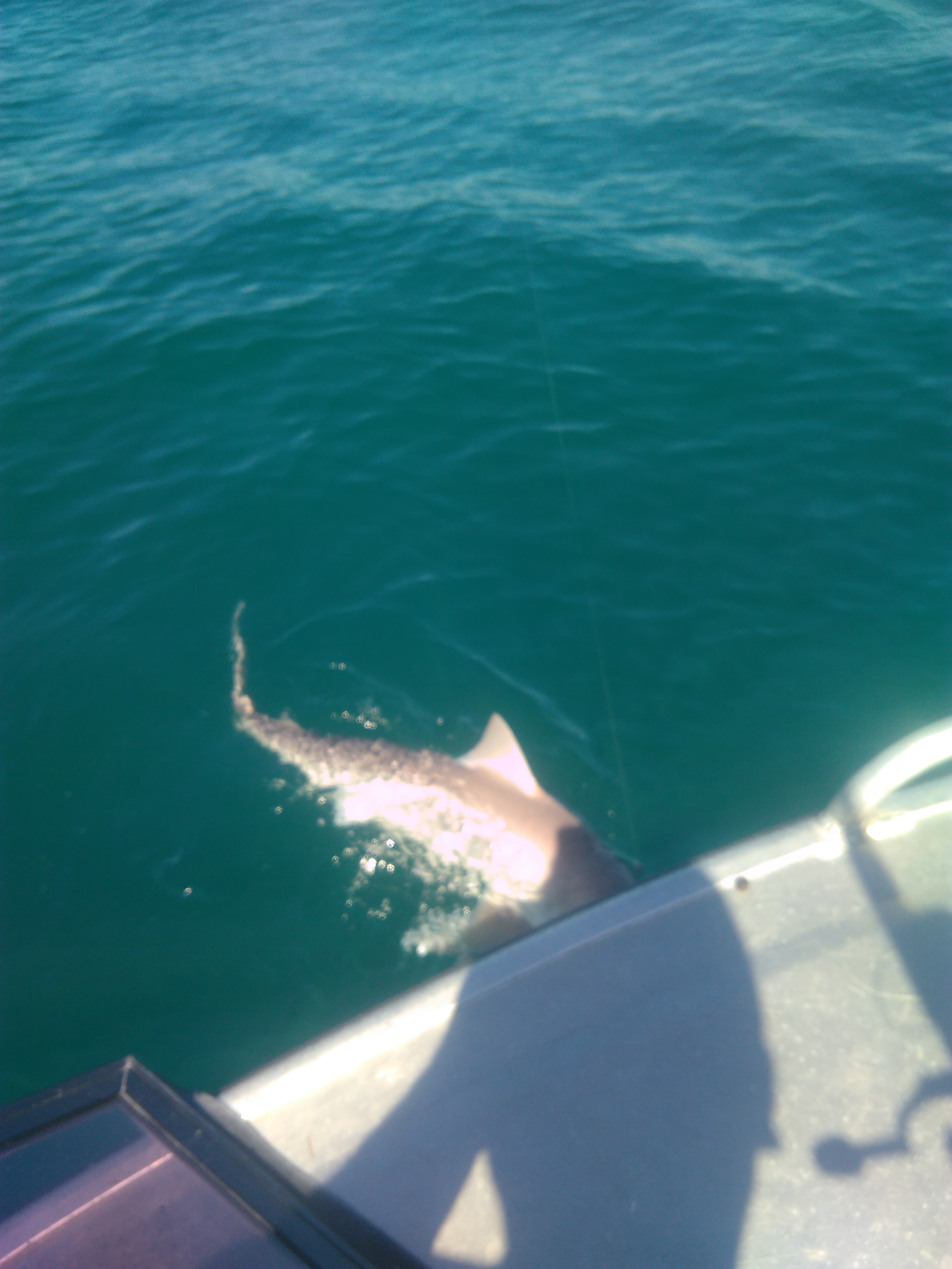 Name:  IMG_20201213_105134.jpg
Views: 195
Size:  2.11 MB