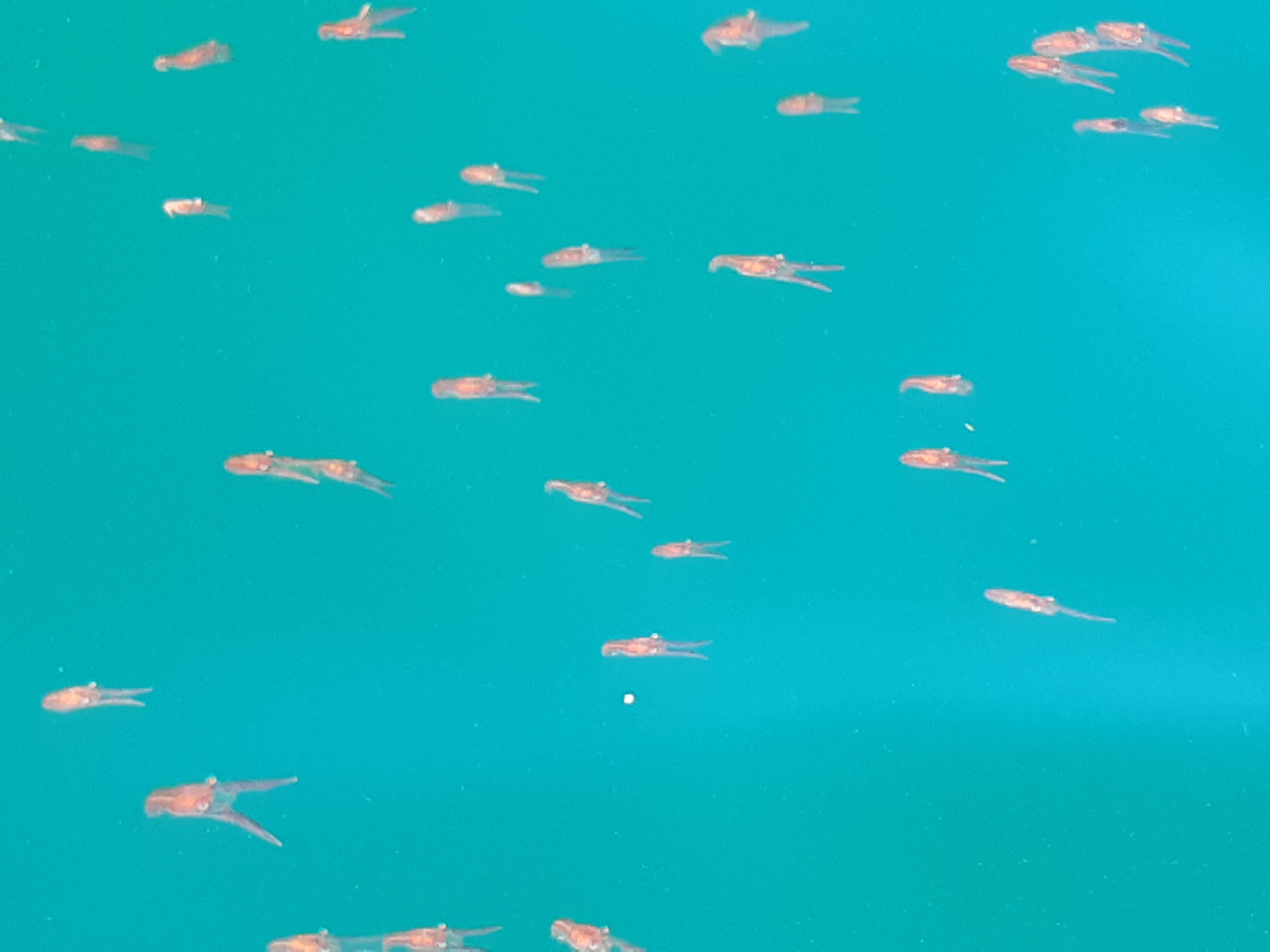 Name:  20201215_114640.jpg
Views: 193
Size:  1.63 MB