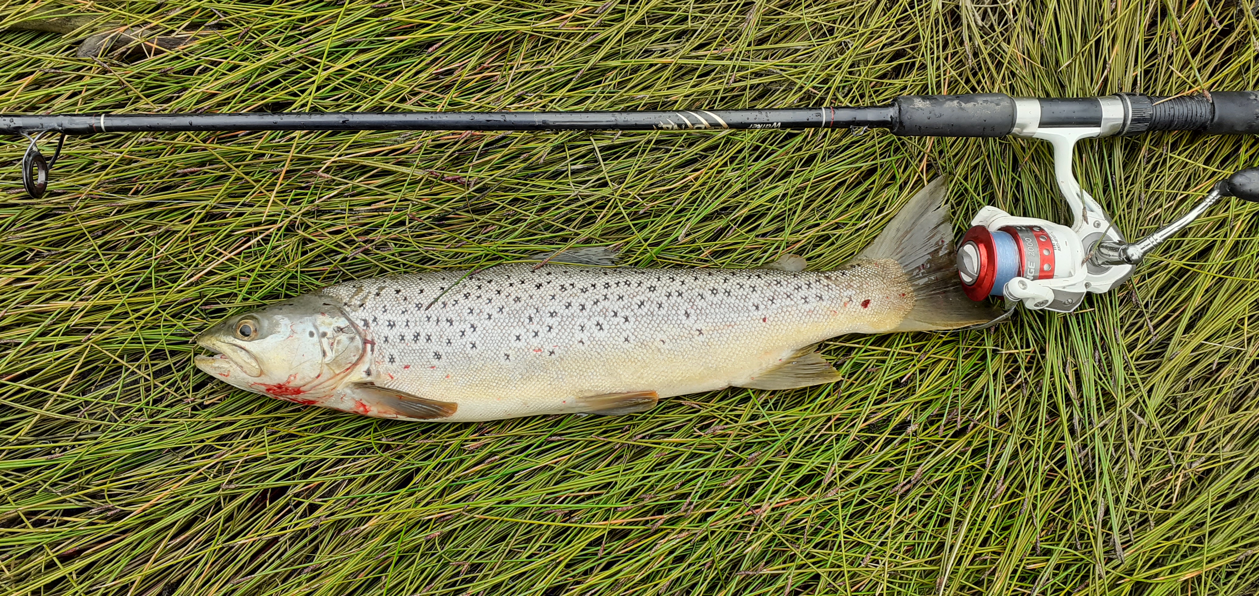 Name:  20201219_160106.jpg
Views: 452
Size:  4.21 MB