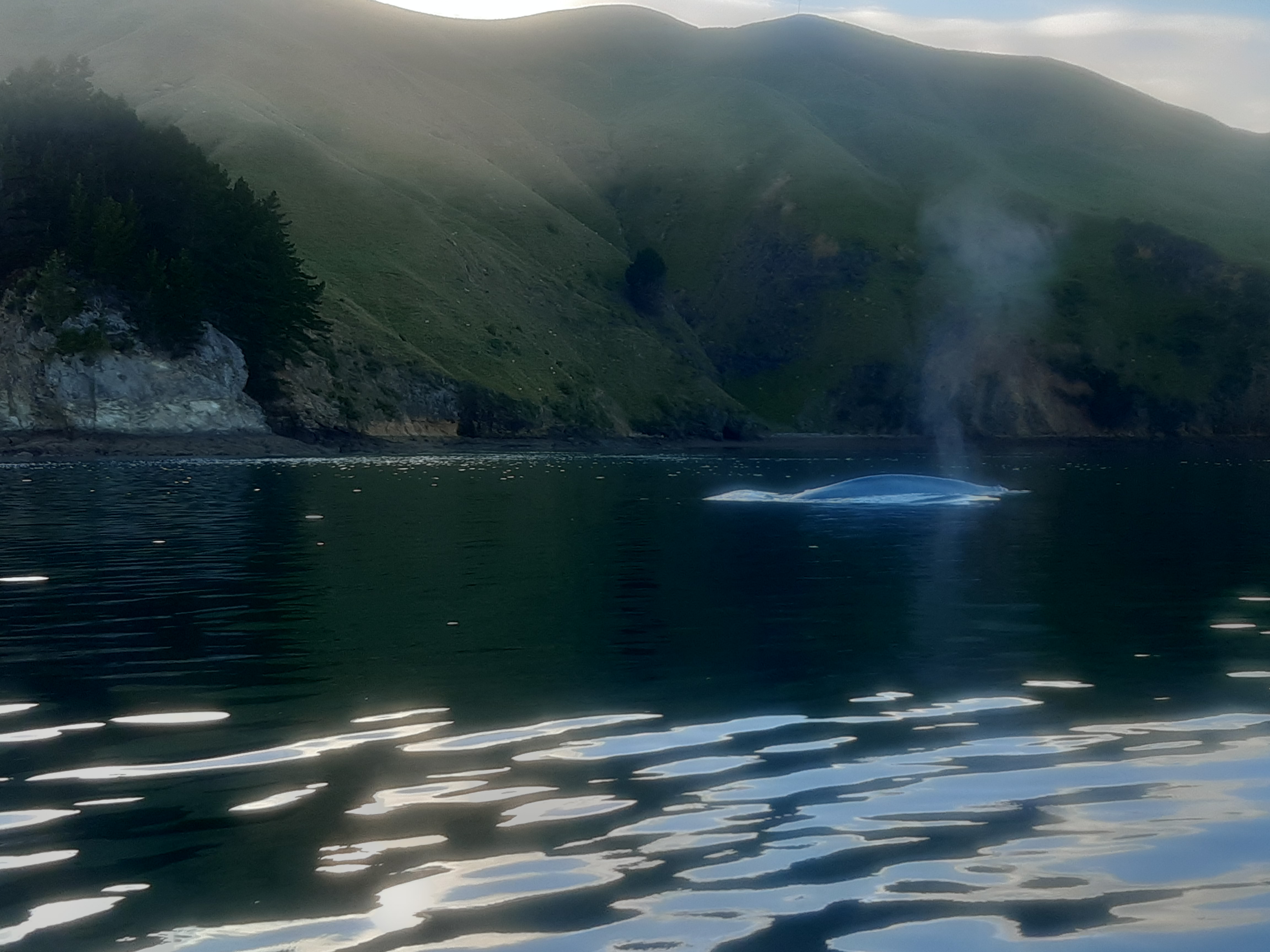 Name:  20210101_065935.jpg
Views: 215
Size:  2.83 MB