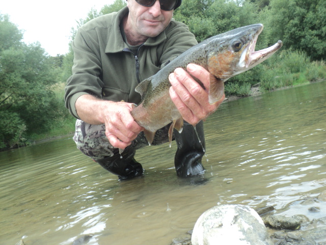 Name:  picture 01 2319.jpg
Views: 559
Size:  162.8 KB