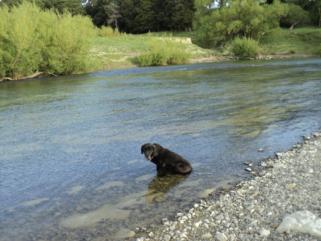 Name:  picture 2373.jpg
Views: 431
Size:  163.1 KB