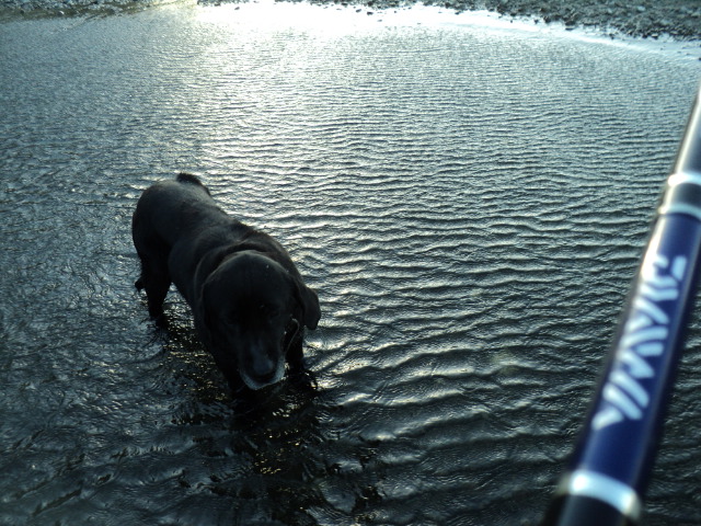 Name:  picture 2376.jpg
Views: 395
Size:  164.7 KB