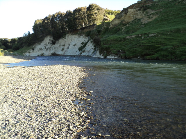 Name:  picture 2375.jpg
Views: 395
Size:  164.7 KB