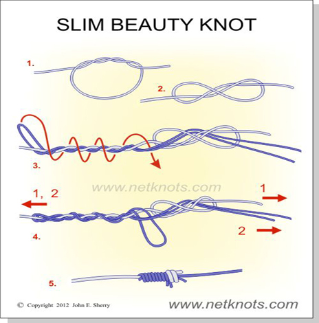 Name:  slim-beauty-knot.jpg
Views: 2440
Size:  106.6 KB
