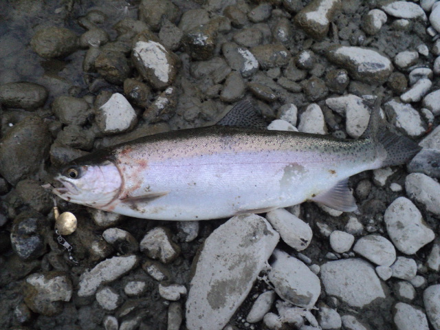Name:  picture 01 2476.jpg
Views: 453
Size:  162.8 KB