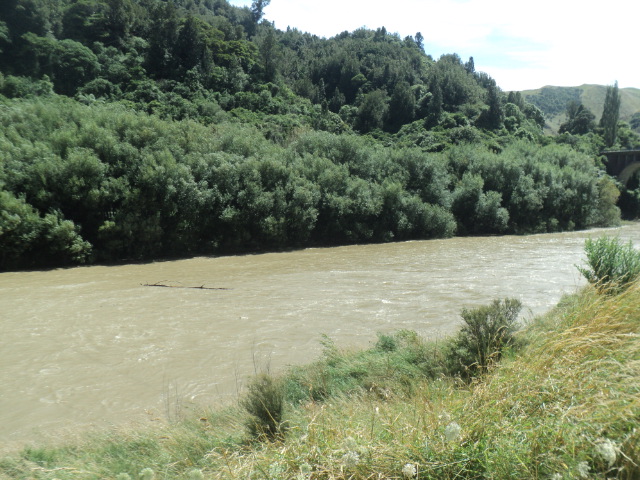 Name:  picture 01 2475.jpg
Views: 410
Size:  165.1 KB