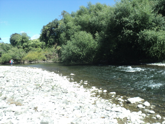 Name:  picture 01 2482.jpg
Views: 435
Size:  164.4 KB