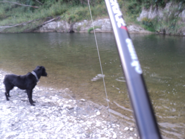Name:  picture 01 2523.jpg
Views: 392
Size:  164.3 KB