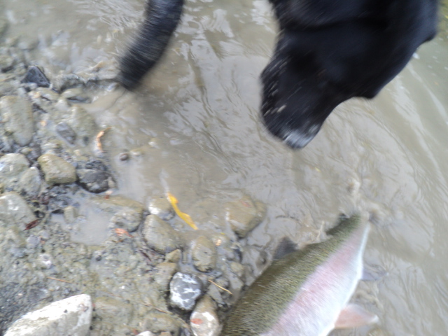 Name:  picture 01 2527.jpg
Views: 404
Size:  164.8 KB