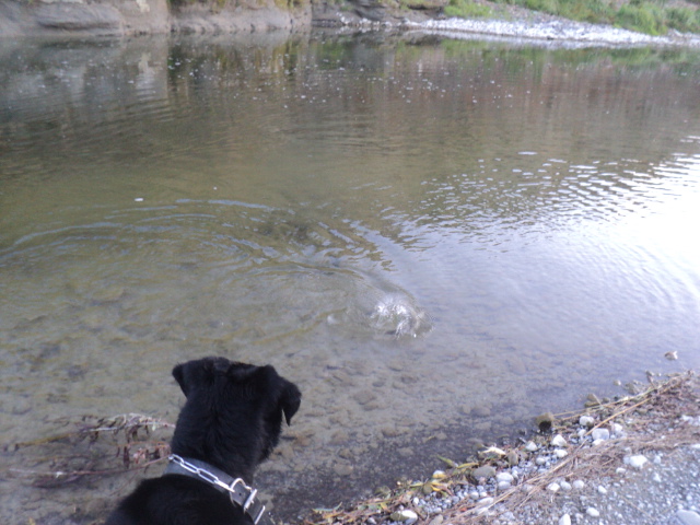 Name:  picture 01 2552.jpg
Views: 368
Size:  163.8 KB