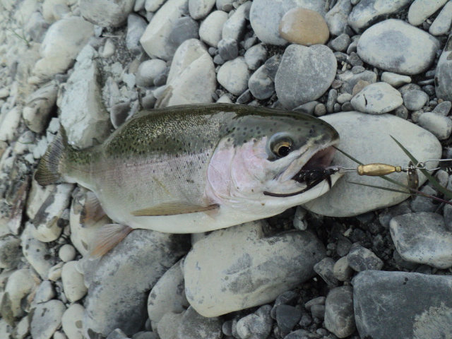 Name:  picture 01 2571.jpg
Views: 549
Size:  162.7 KB