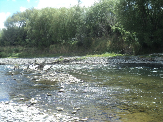 Name:  picture 01 2576.jpg
Views: 381
Size:  164.7 KB