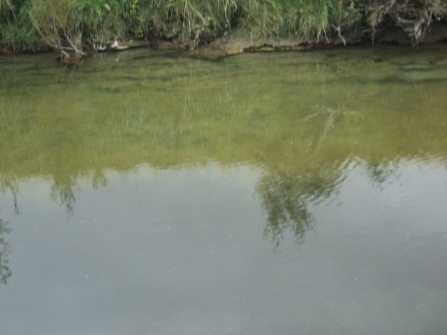 Name:  picture 01 2610.jpg
Views: 847
Size:  165.0 KB