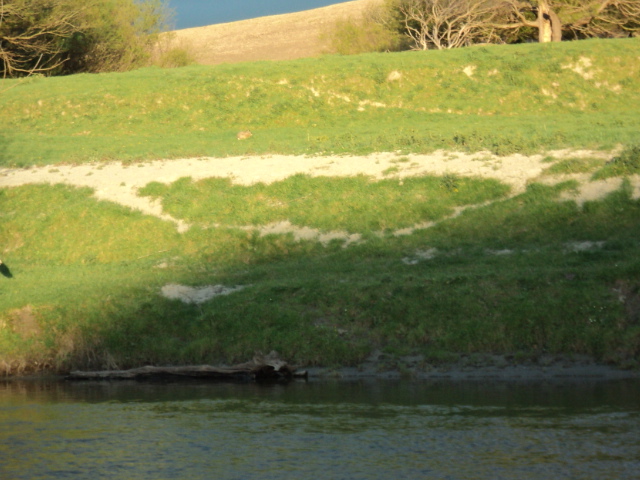 Name:  picture 2441.jpg
Views: 203
Size:  165.2 KB