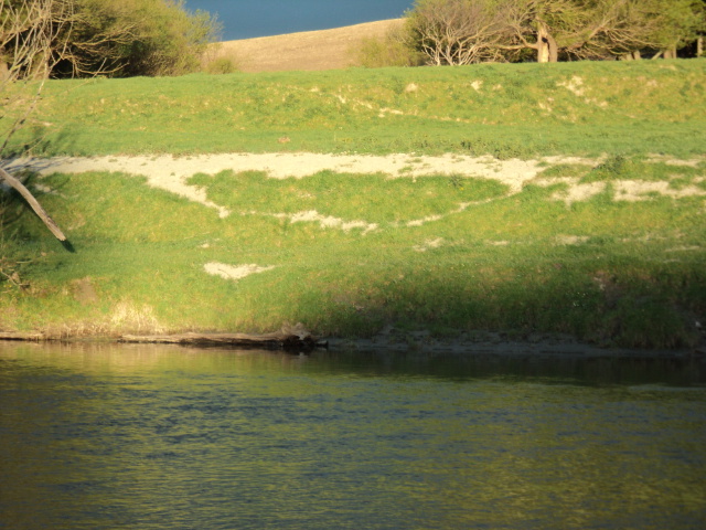 Name:  picture 2440.jpg
Views: 208
Size:  164.7 KB