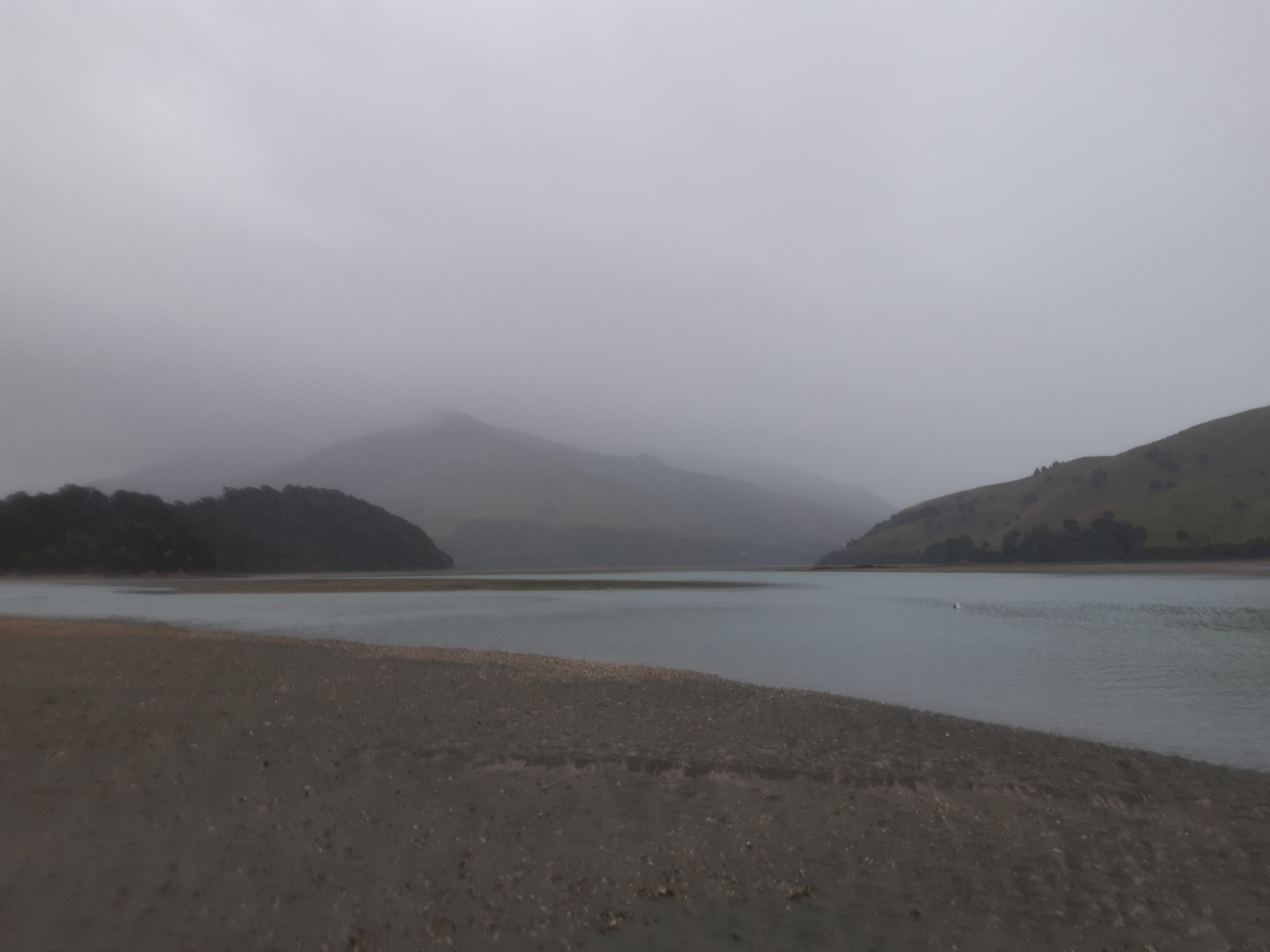 Name:  20210516_082311.jpg
Views: 358
Size:  3.27 MB
