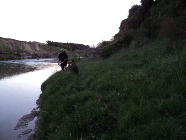 Name:  picture 2547.jpg
Views: 245
Size:  161.2 KB
