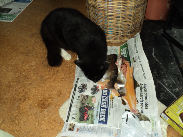 Name:  picture 2567.jpg
Views: 210
Size:  164.3 KB