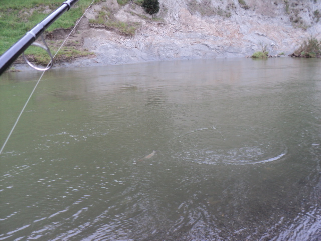 Name:  picture 2637.jpg
Views: 263
Size:  164.3 KB