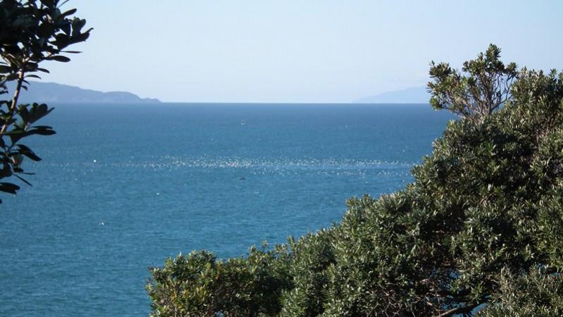 Name:  DSCF1072.jpg
Views: 238
Size:  62.2 KB