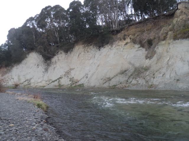 Name:  picture 01 3716.jpg
Views: 335
Size:  164.8 KB
