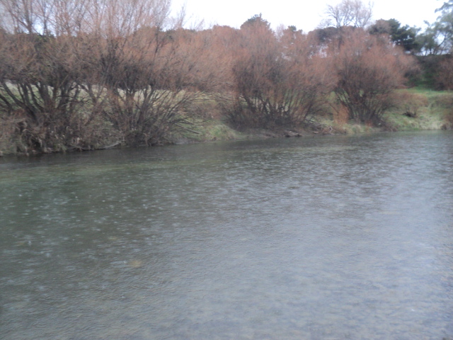 Name:  picture 01 3717.jpg
Views: 338
Size:  163.2 KB