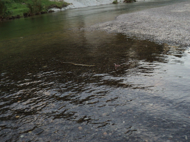 Name:  picture 2659.jpg
Views: 187
Size:  165.1 KB