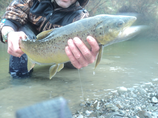 Name:  picture 01 3808.jpg
Views: 280
Size:  163.9 KB