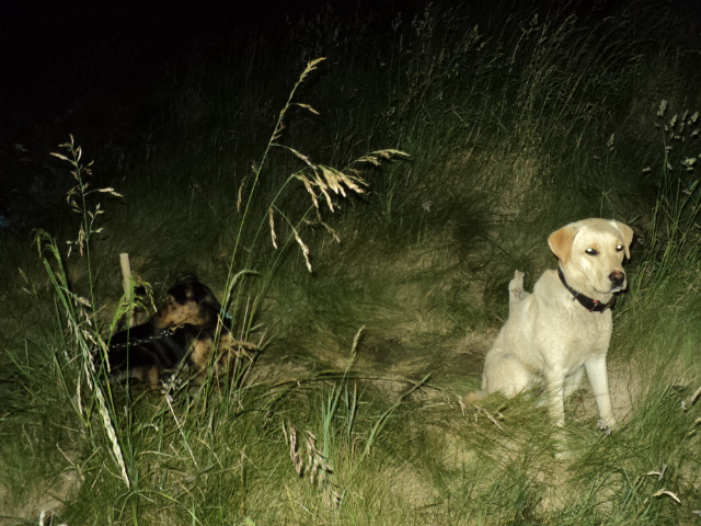 Name:  picture 2667.jpg
Views: 160
Size:  165.2 KB