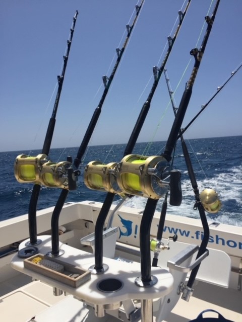 Name:  marlin 2.jpg
Views: 195
Size:  68.9 KB