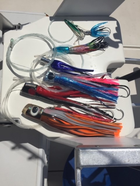 Name:  marlin 3.jpg
Views: 228
Size:  69.1 KB