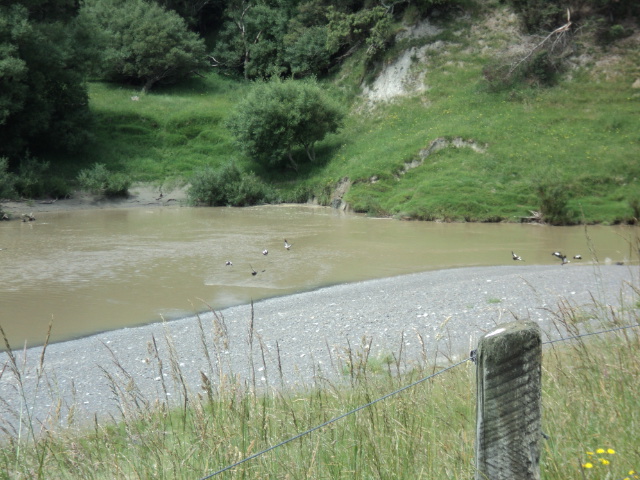 Name:  picture 2676.jpg
Views: 195
Size:  163.6 KB